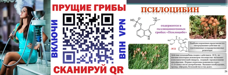 купить закладку  Южа  Галлюциногенные грибы Cubensis 