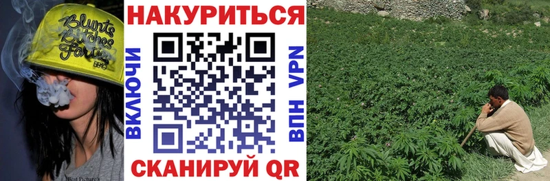 Канабис White Widow  Южа 